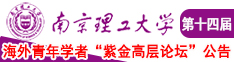 大美女露胸视频网站南京理工大学第十四届海外青年学者紫金论坛诚邀海内外英才！